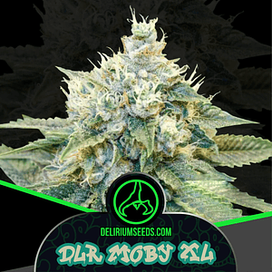 Dlr Moby Xl Fem -Delirium Seeds (X4/X2/X1)