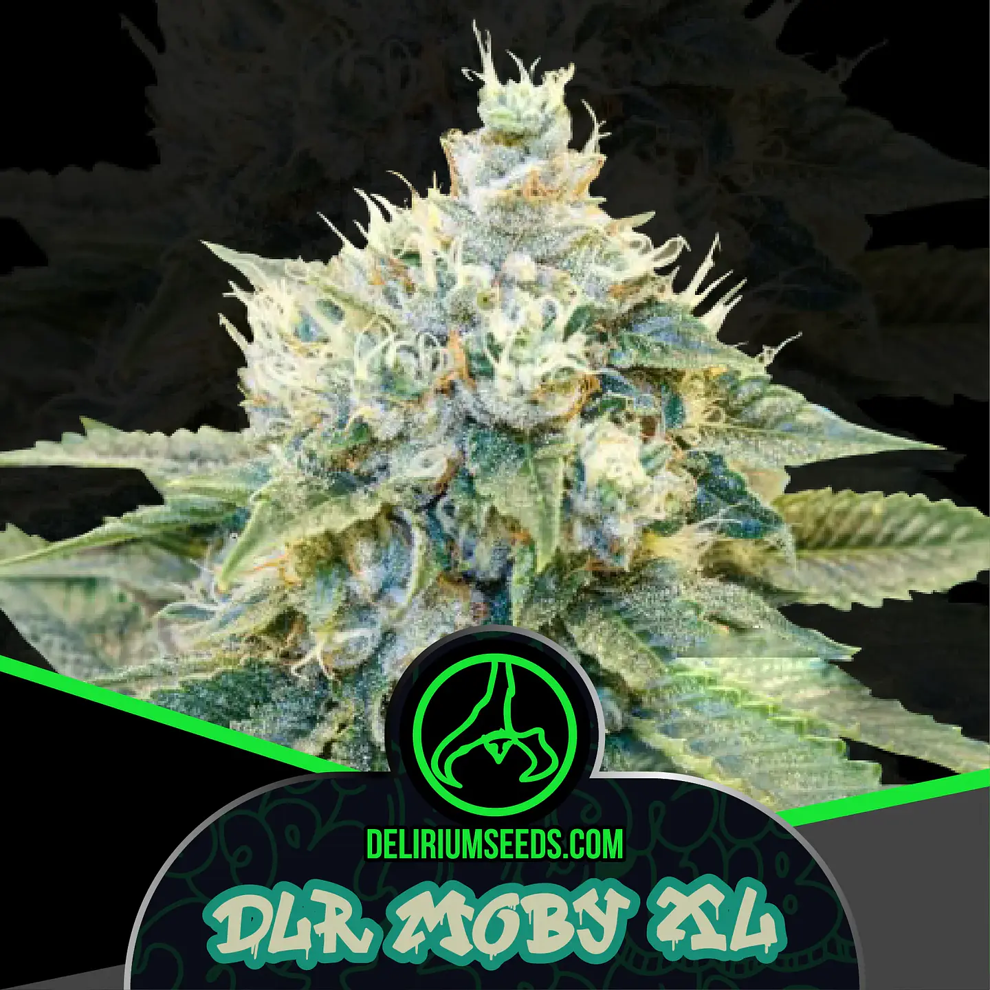 Dlr Moby Xl Fem -Delirium Seeds (X4/X2/X1) 1