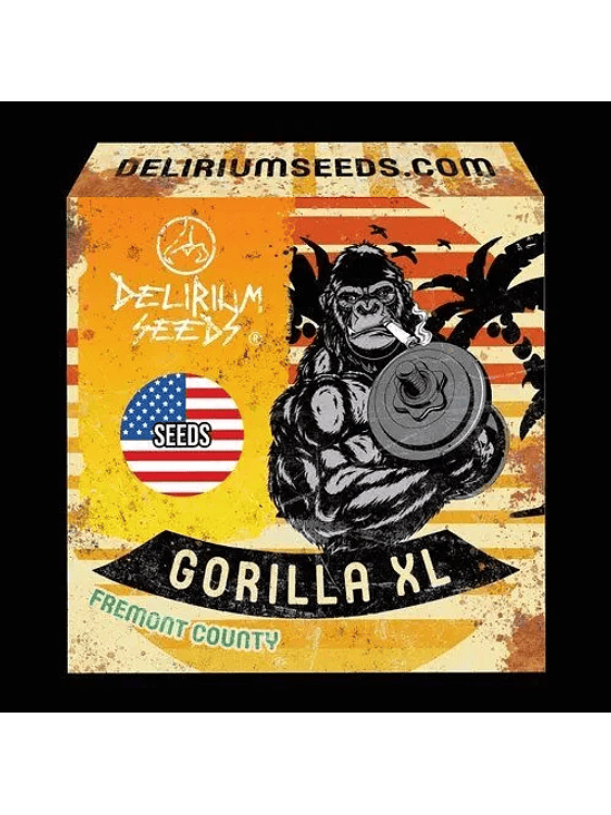 GORILLA XL AUTO X1 -DELIRIUM SEEDS 1