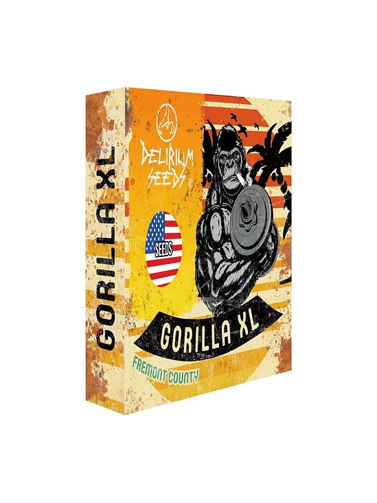GORILLA XL FEM X4-DELIRIUM SEEDS 1