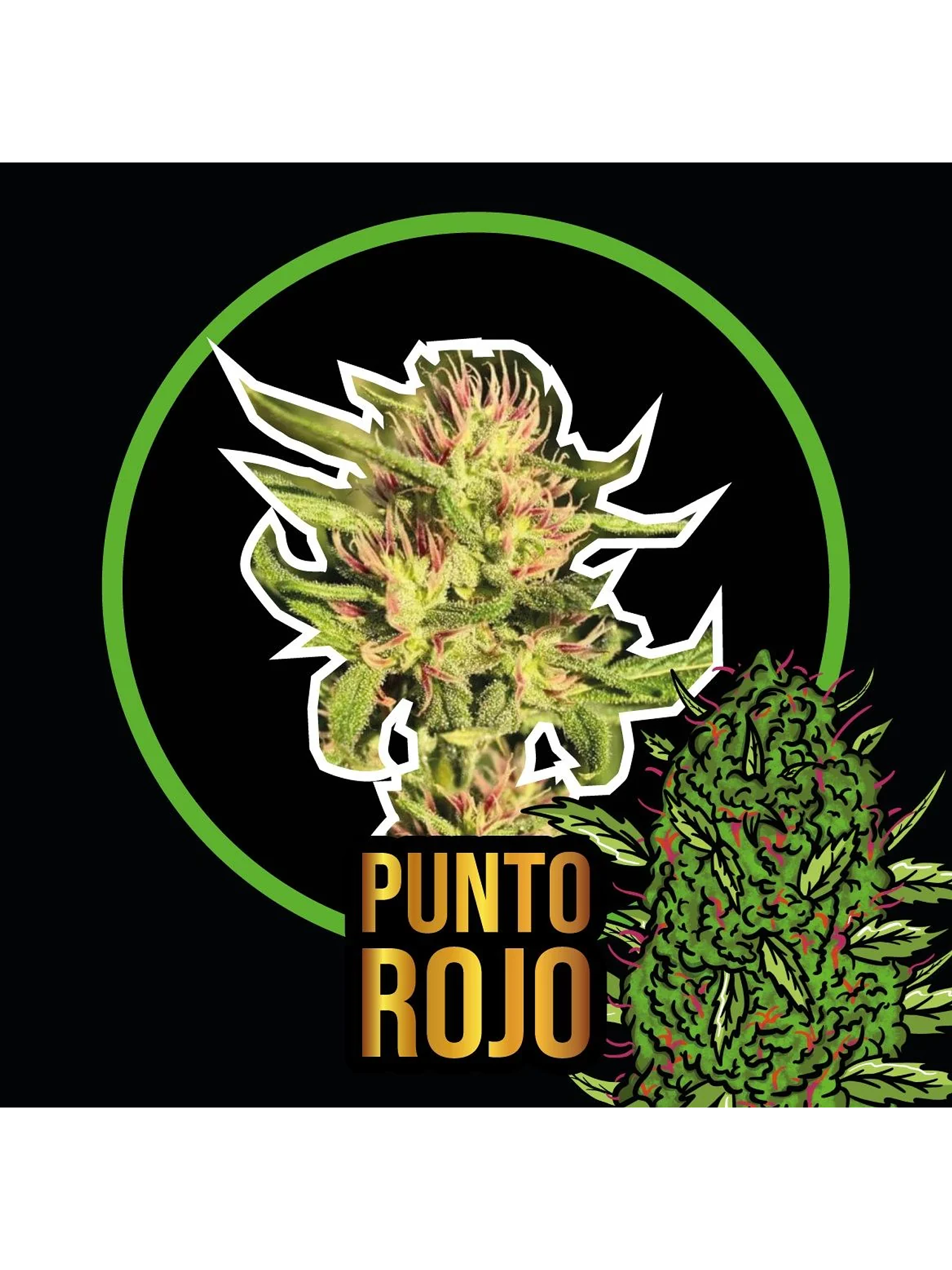 Punto Rojo Fem -Delirium Seeds (X100/X4/X2/X1) 1