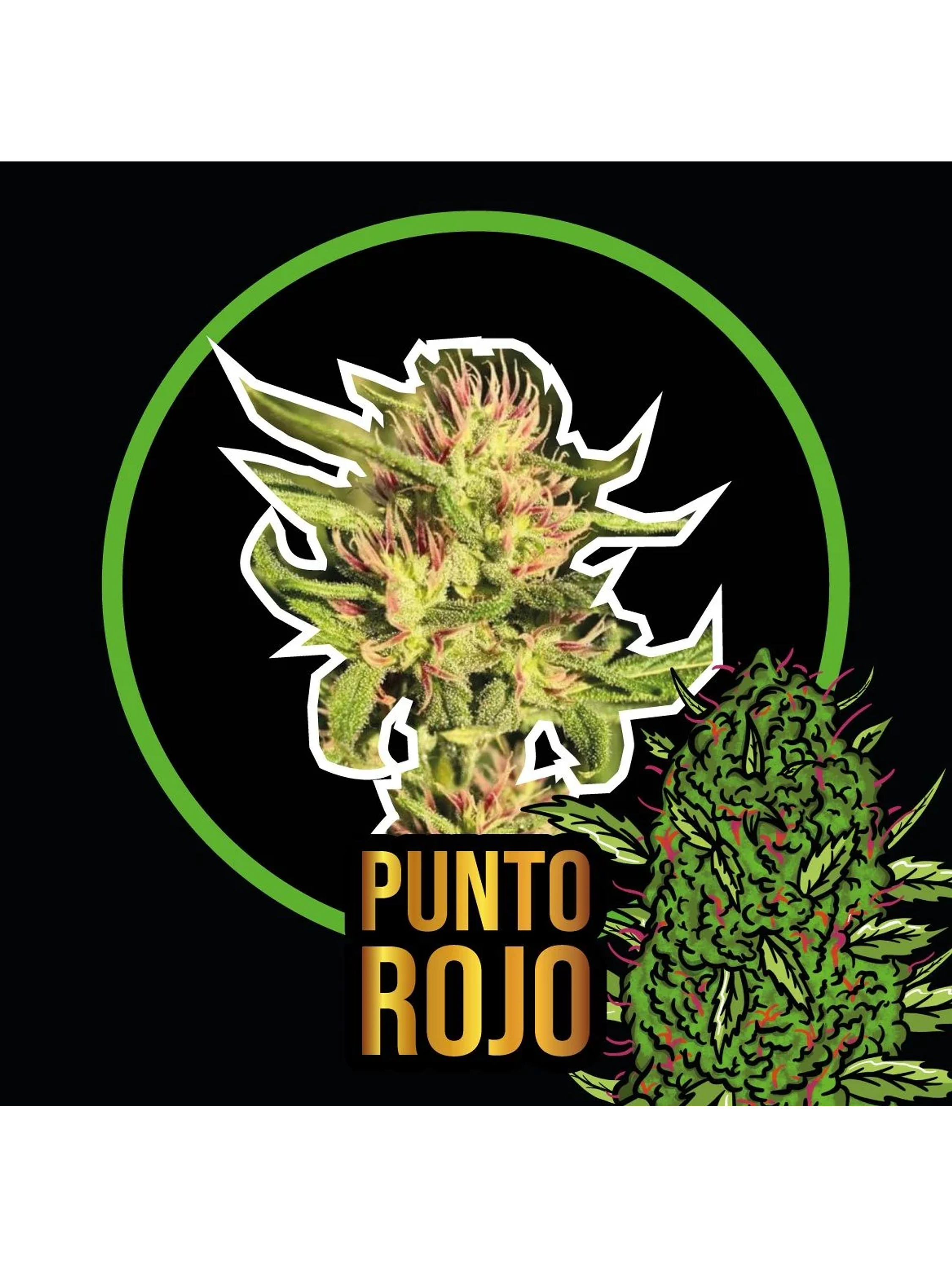 Punto Rojo Fem -Delirium Seeds (X100/X4/X2/X1) 1