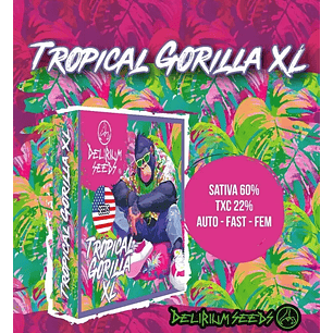 TROPICAL GORILLA XL AUTO X1-DELIRIUM SEEDS