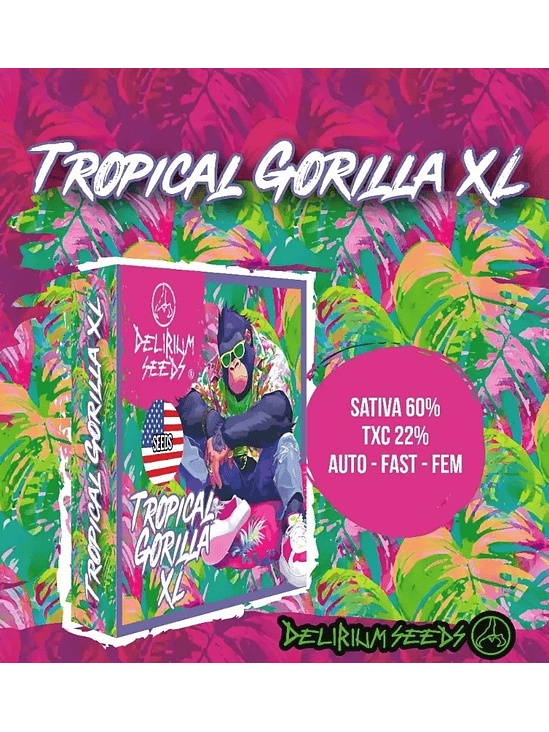 TROPICAL GORILLA XL AUTO X1-DELIRIUM SEEDS 2