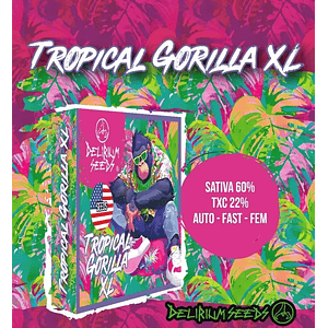 Tropical Gorilla Xl Auto -Delirium Seeds (X4/X2/X1)