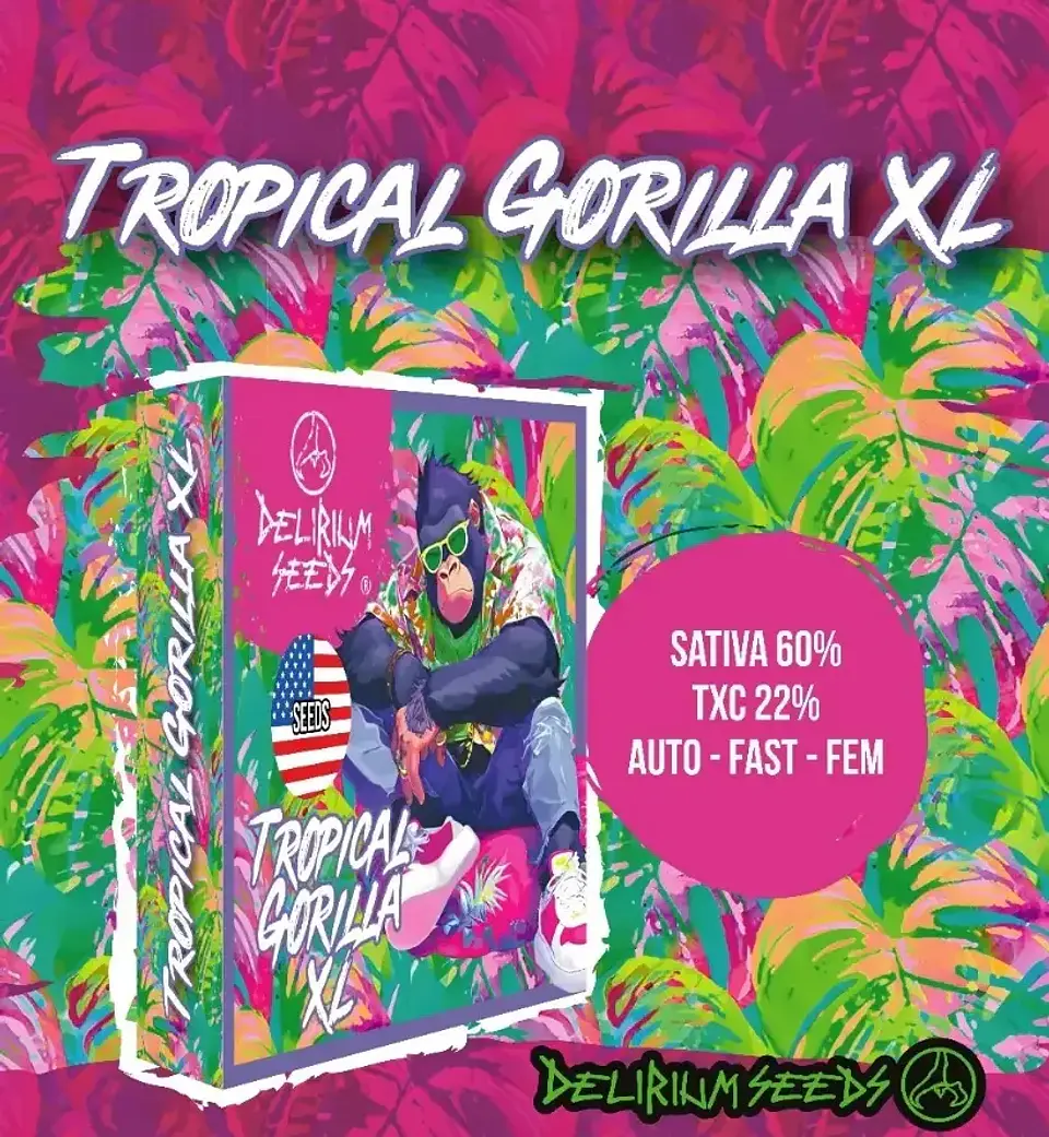 Tropical Gorilla Xl Auto -Delirium Seeds (X4/X2/X1) 2