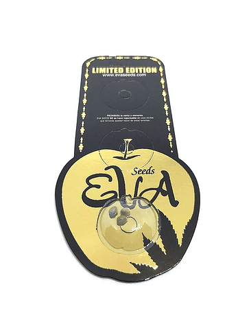 B DOMINA X J HERER X CRITICAL X 3-EVA SEEDS 1