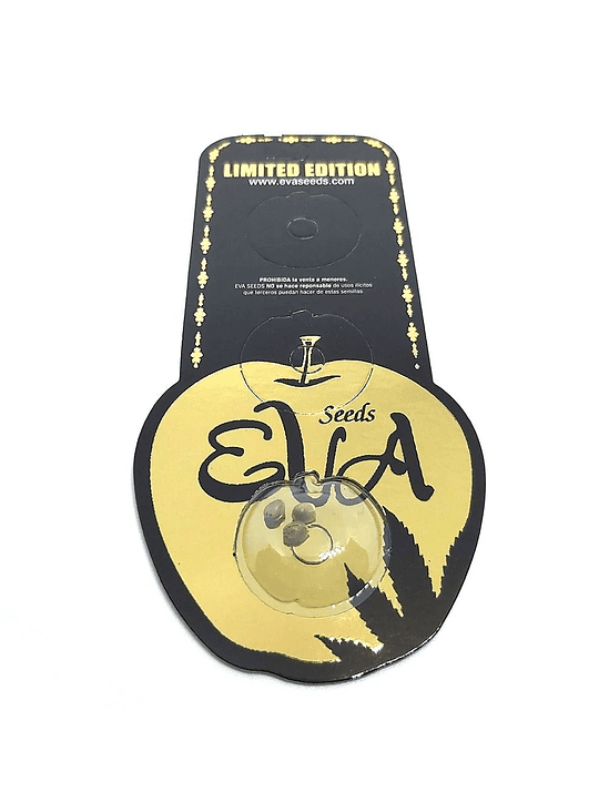 SPACE BOMB X CRITICAL SWISS X 3-EVA SEEDS 1