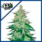 Cbd Crack  Auto X3-Fast Buds - Miniatura 1