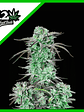 Strawberry Banana Auto X3-Fast Buds - Miniatura 1