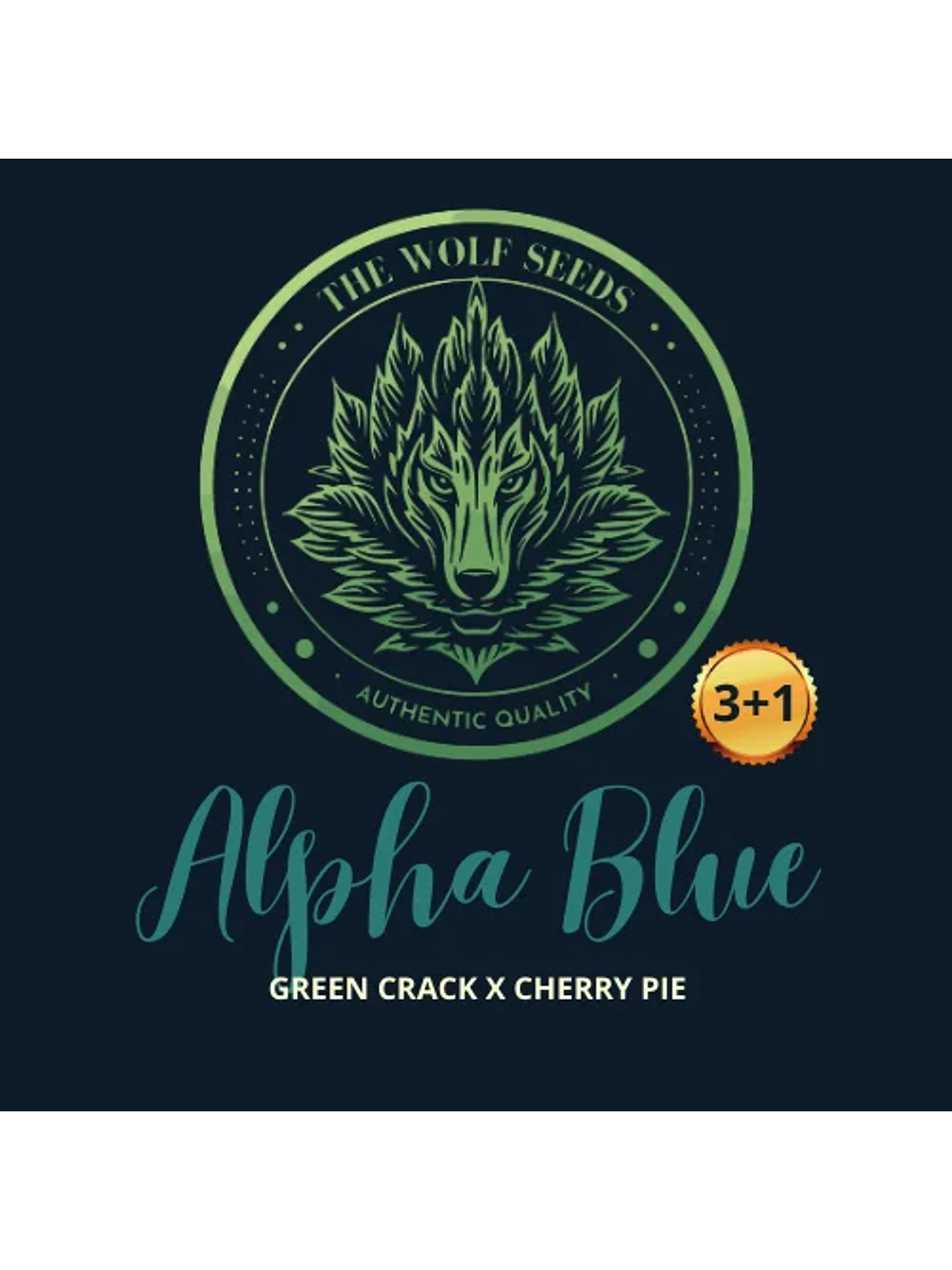 Alpha Blue F1 Fem X3+1-The Wolf Seeds 1