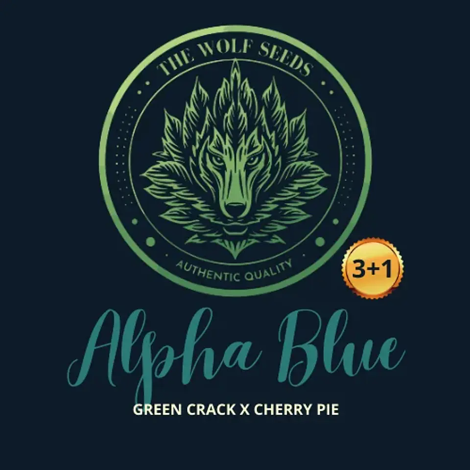 Alpha Blue F1 Fem X3+1-The Wolf Seeds 1