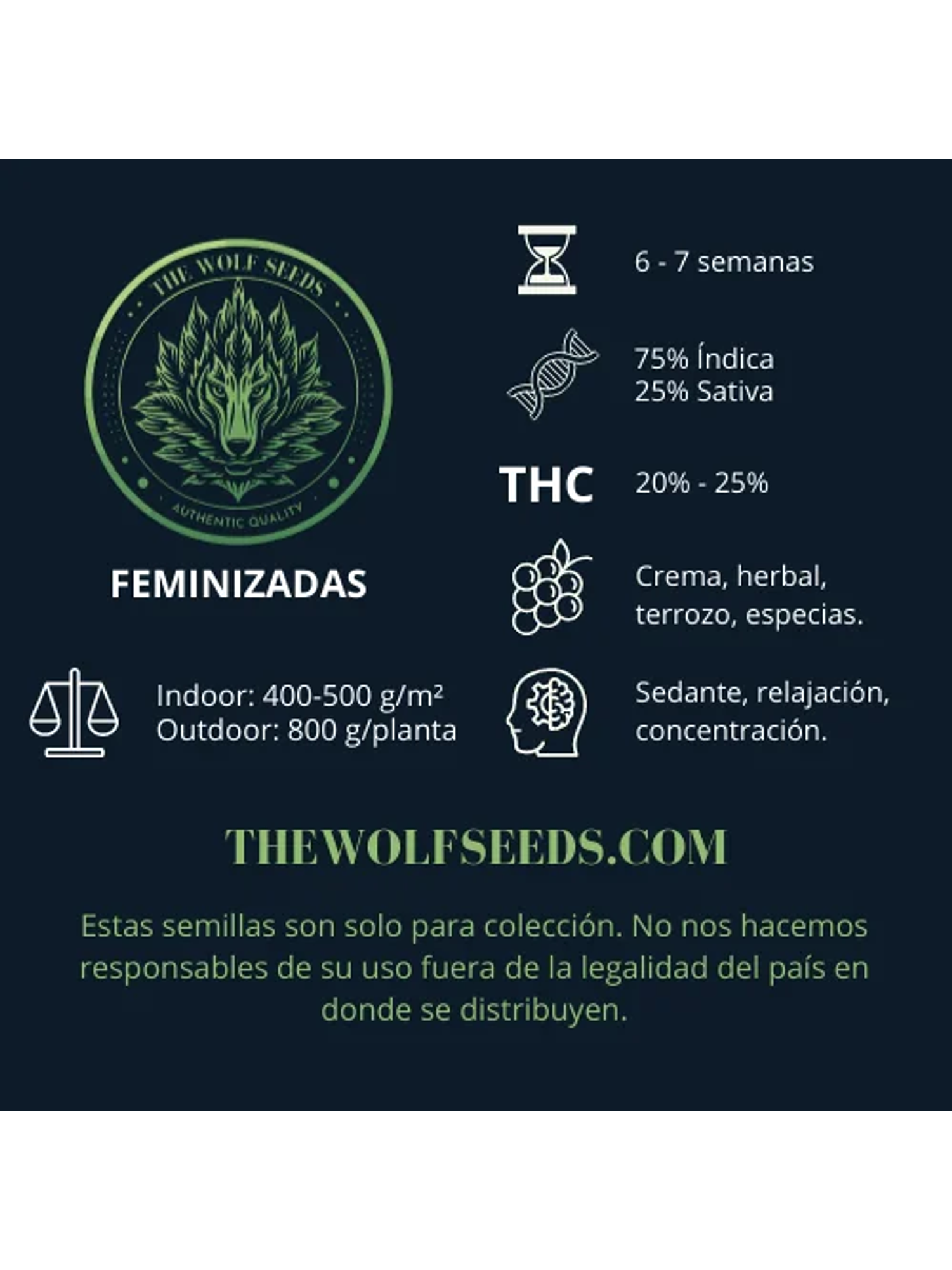 Alpha Blue F1 Fem X3+1-The Wolf Seeds 2