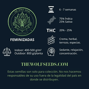 ALPHA BLUE F1 FEM X3+1-THE WOLF SEEDS