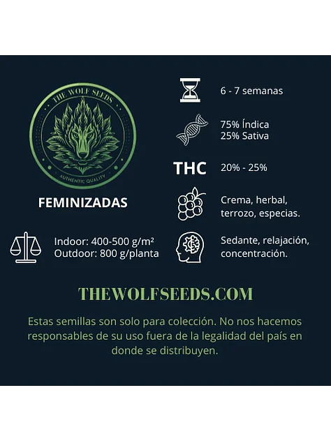 Alpha Blue F1 Fem X3+1-The Wolf Seeds 2