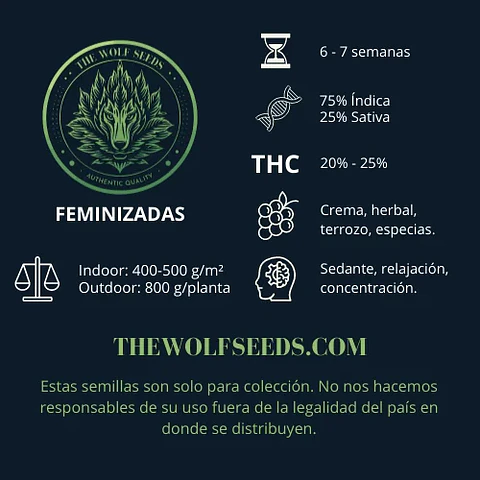 Alpha Blue F1 Fem X3+1-The Wolf Seeds