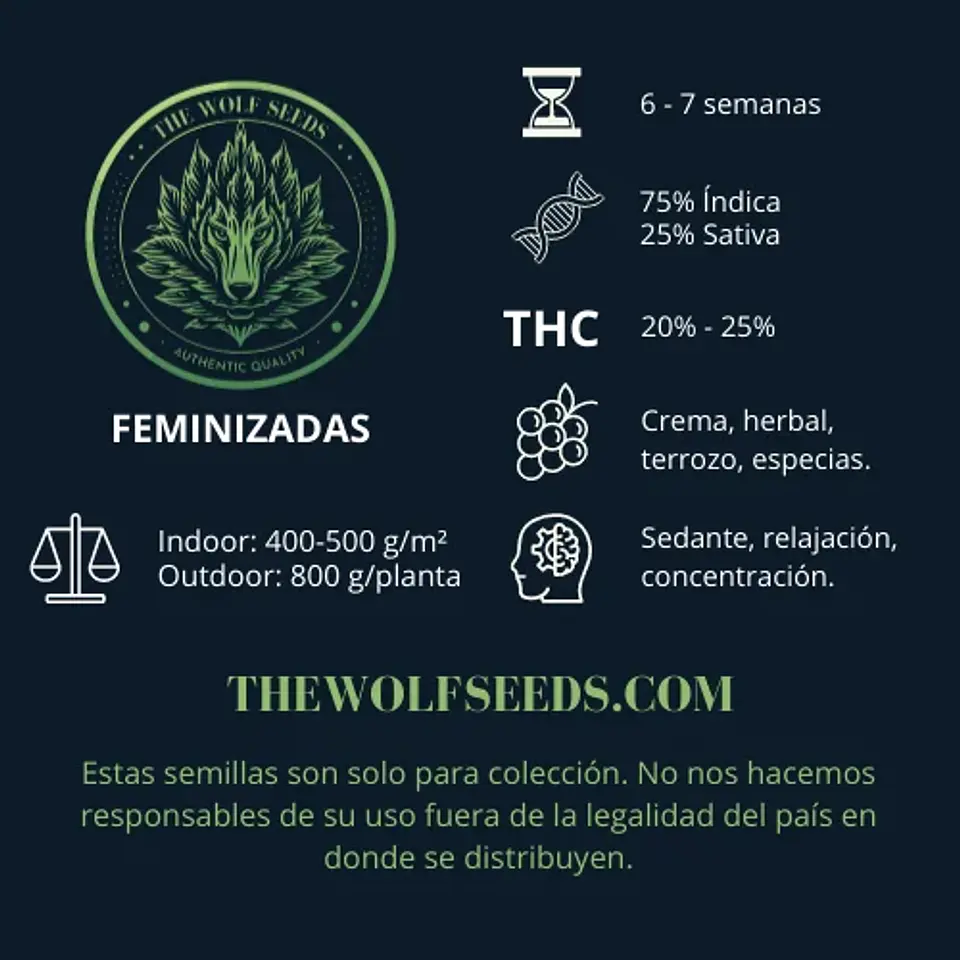Alpha Blue F1 Fem X3+1-The Wolf Seeds 2