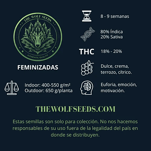 WILD TIMBER F1 FEM X3+1-THE WOLF SEEDS