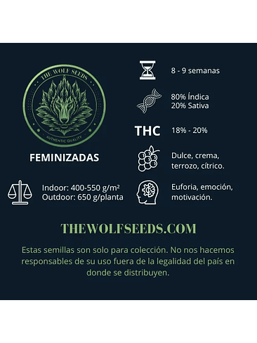 WILD TIMBER F1 FEM X3+1-THE WOLF SEEDS 1