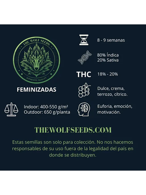 Wild Timber F1 Fem X3+1-The Wolf Seeds 2