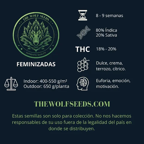 Wild Timber F1 Fem X3+1-The Wolf Seeds