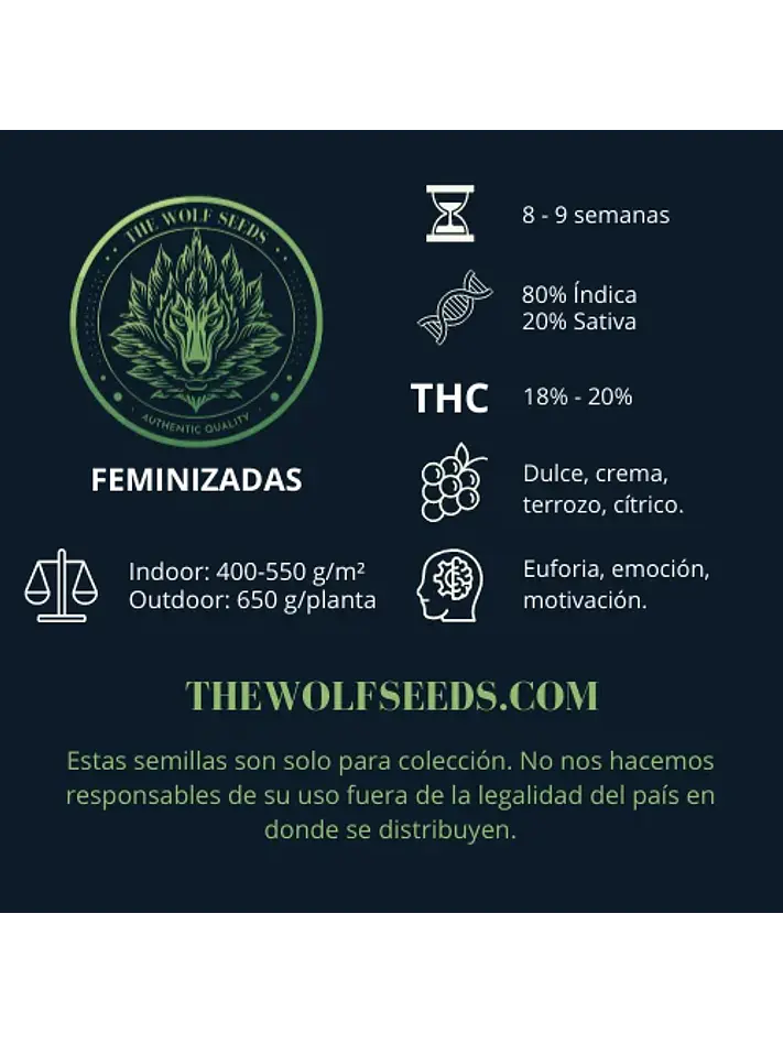 Wild Timber F1 Fem X3+1-The Wolf Seeds 2