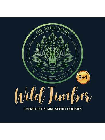 WILD TIMBER F1 FEM X3+1-THE WOLF SEEDS 2