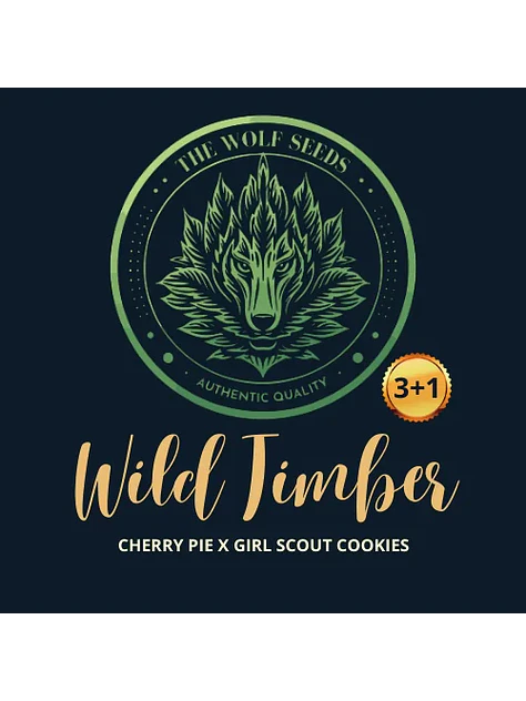 Wild Timber F1 Fem X3+1-The Wolf Seeds 3