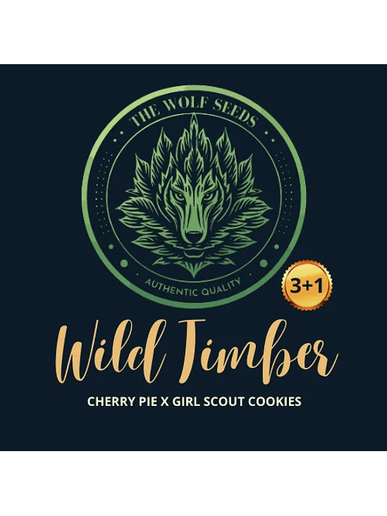 WILD TIMBER F1 FEM X3+1-THE WOLF SEEDS 2