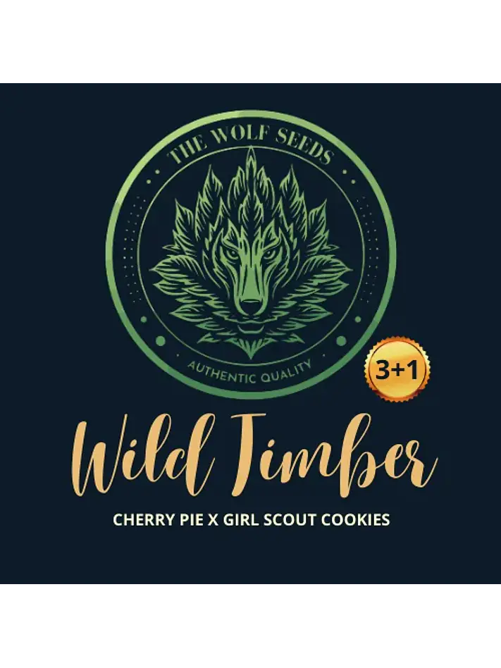 Wild Timber F1 Fem X3+1-The Wolf Seeds 3