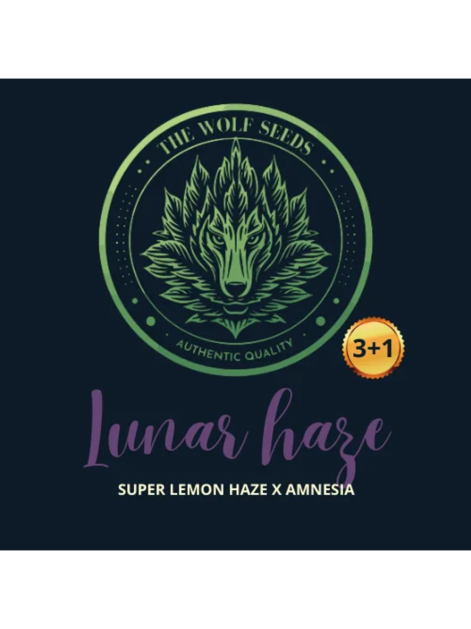 Lunar Haze Fem X3+1-The Wolf Seeds 1