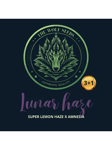 LUNAR HAZE FEM X3+1-THE WOLF SEEDS 1