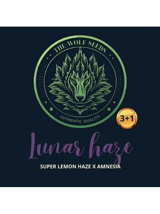 LUNAR HAZE FEM X3+1-THE WOLF SEEDS 1