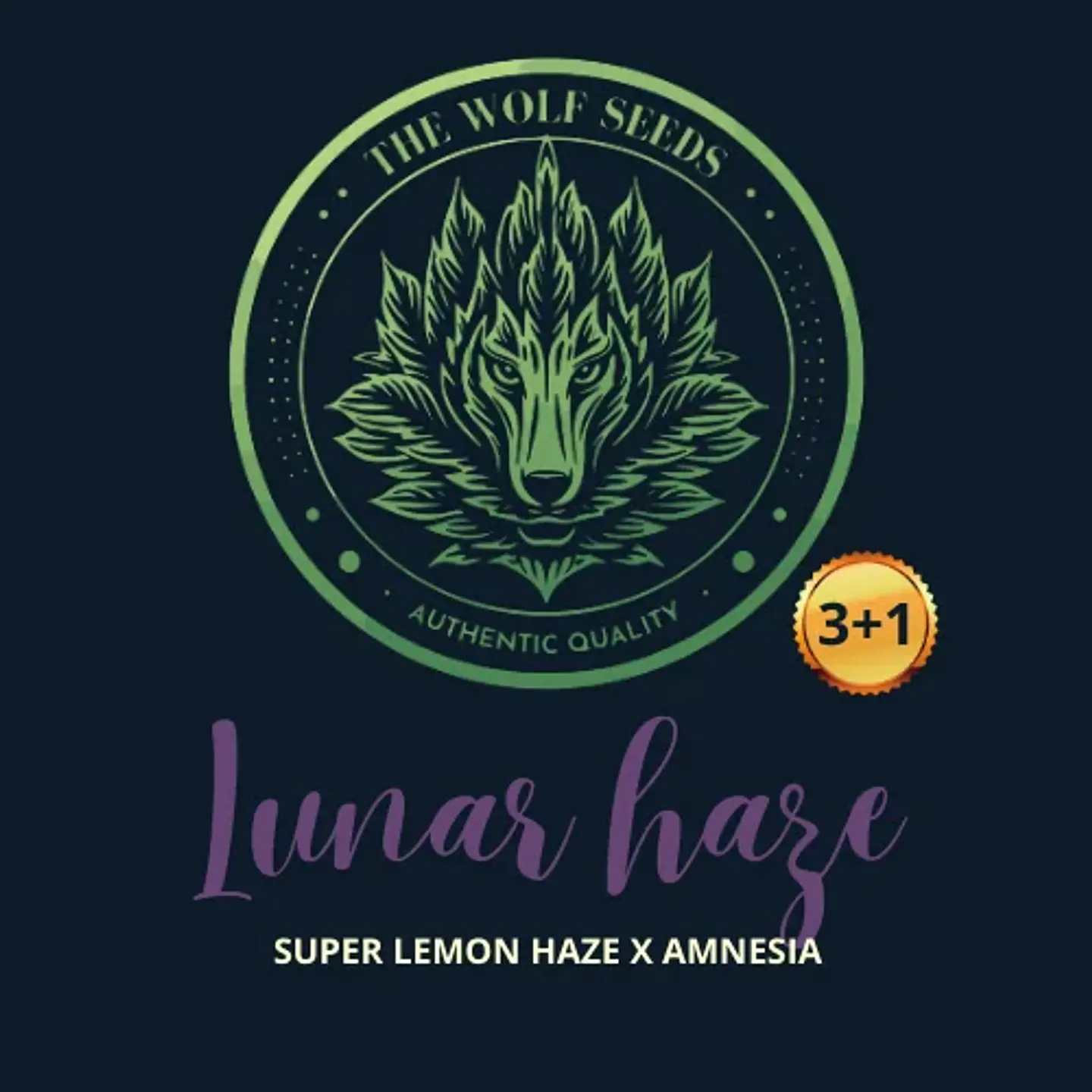 Lunar Haze Fem X3+1-The Wolf Seeds 1