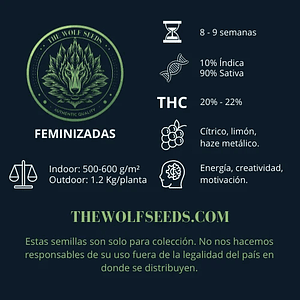 Lunar Haze Fem X3+1-The Wolf Seeds