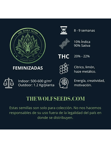 LUNAR HAZE FEM X3+1-THE WOLF SEEDS 2