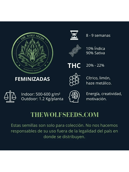 LUNAR HAZE FEM X3+1-THE WOLF SEEDS 2