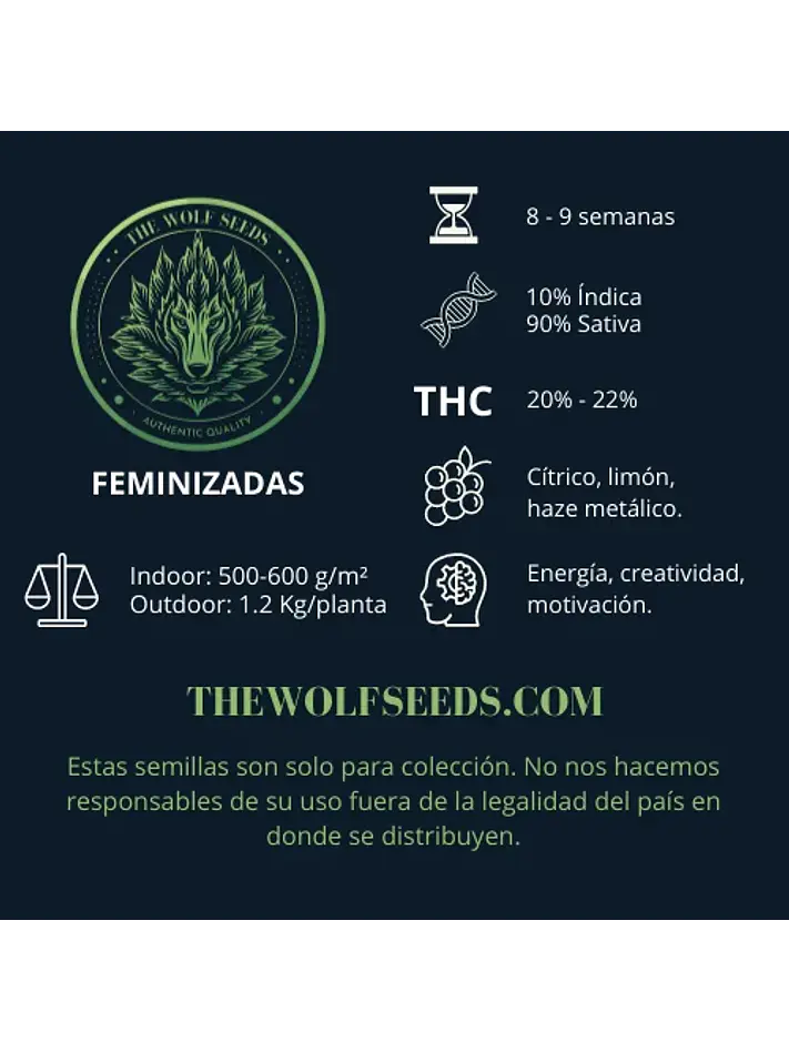 Lunar Haze Fem X3+1-The Wolf Seeds 2