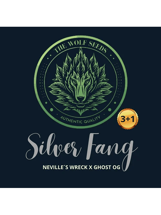 SILVER FANG FEM X3+1-THE WOLF SEEDS 1