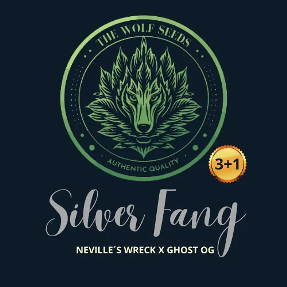 Silver Fang Fem X3+1-The Wolf Seeds 1