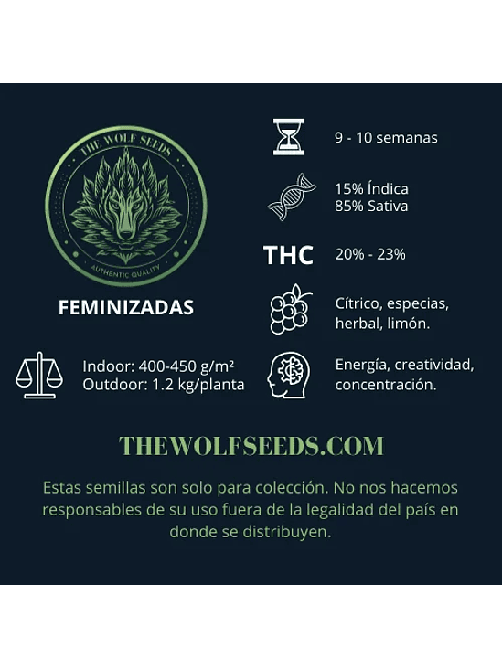 SILVER FANG FEM X3+1-THE WOLF SEEDS 2