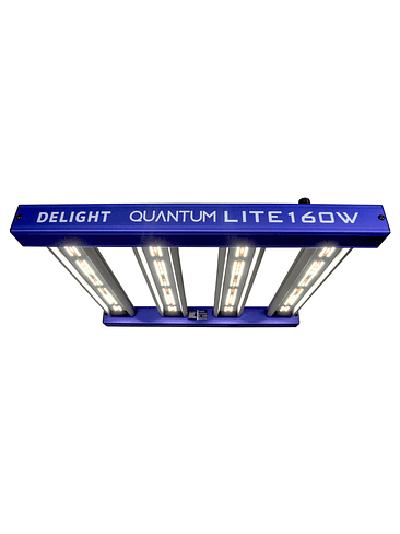 NEW QUANTUM LITE 160W-DELIGHT 1
