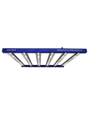 NEW QUANTUM LITE 600W-DELIGHT 1