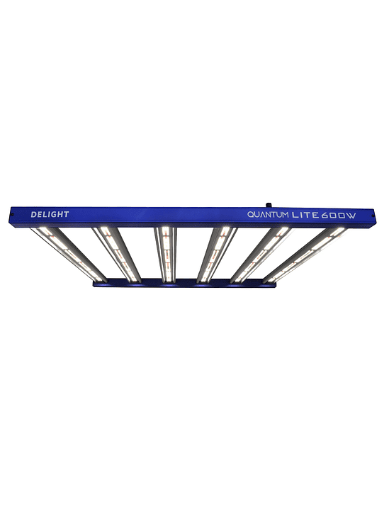 NEW QUANTUM LITE 600W-DELIGHT 1
