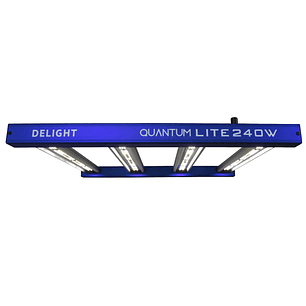 NEW QUANTUM LITE 240W-DELIGHT