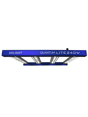 NEW QUANTUM LITE 240W-DELIGHT 1