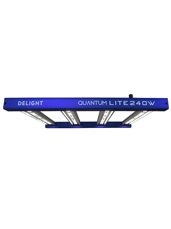 NEW QUANTUM LITE 240W-DELIGHT 1