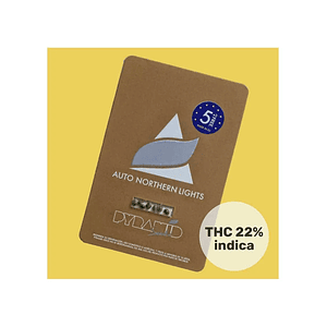 Northern Lights Auto 50-Pyramid Seeds