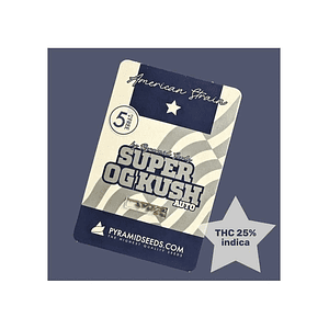 Super Og Kush Auto X50-Pyramid Seeds