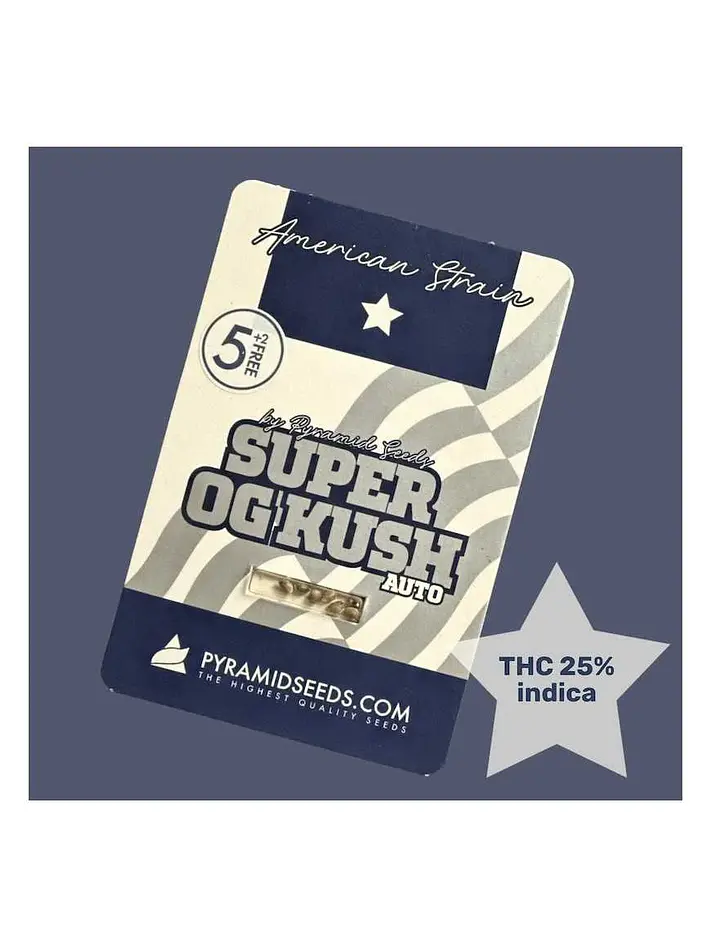 Super Og Kush Auto -Pyramid Seeds (X50/X5+2/X3+1) 1